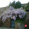 Civita di Bagnoregio, Viterbo